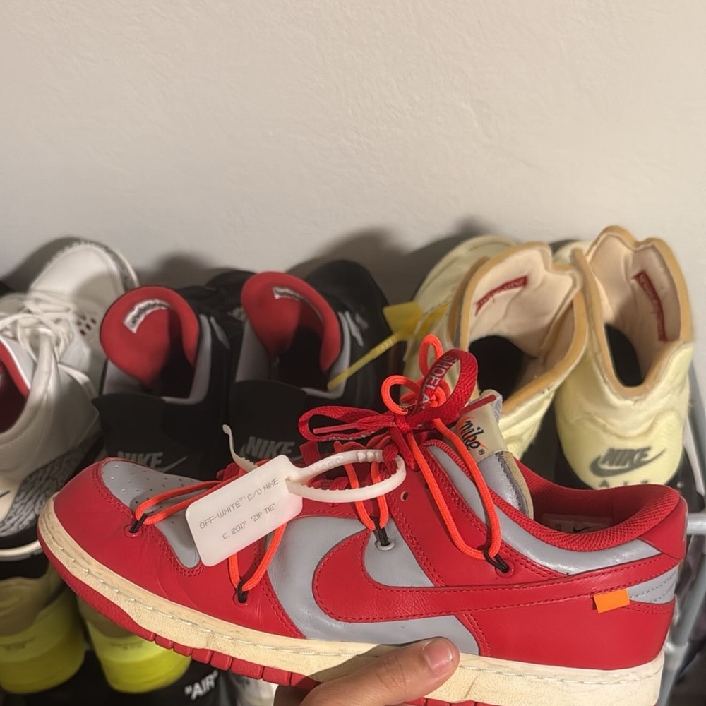 Off white dunks